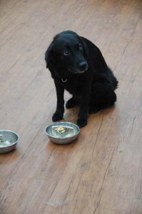 1380944097-3092819233