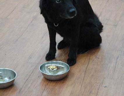 1380944097-3092819233