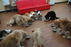 1380944097-3722264052