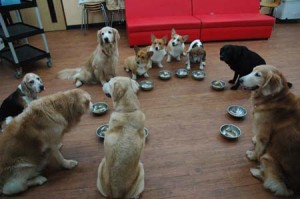 1380944097-4285236357