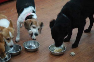 1380944098-1729055798