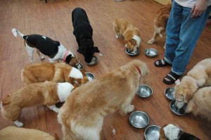 1380944098-366201596