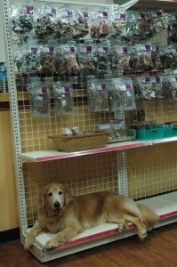 1380944099-365029411