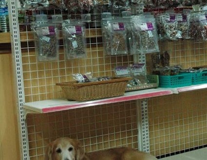 1380944099-365029411