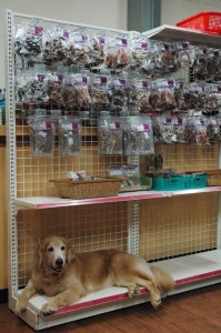 1380944100-197977086