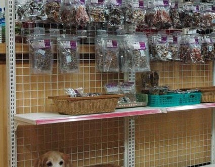 1380944100-197977086