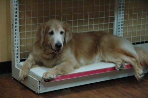 1380944100-3934971209