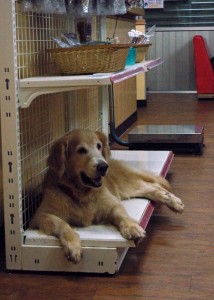 1380944101-1134630374