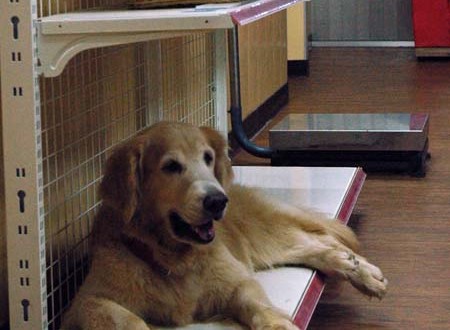 1380944101-1134630374