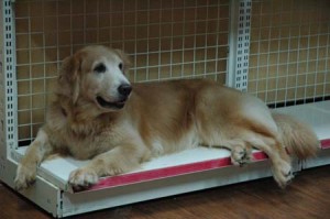 1380944101-2980428504