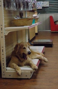 1380944102-2597339240