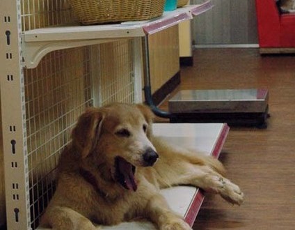 1380944102-2597339240