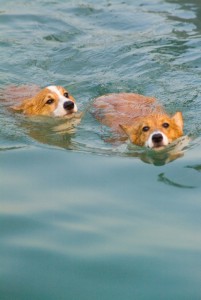 1380944110-2573460737