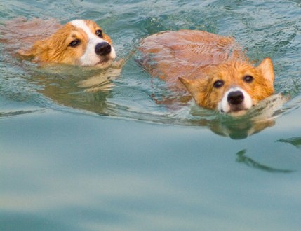 1380944110-2573460737