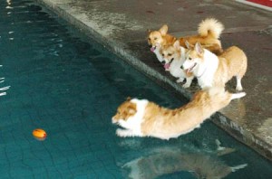 1380944110-3261426717