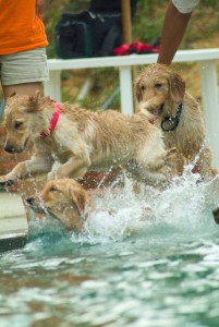 1380944110-329344595