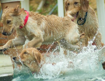 1380944110-329344595