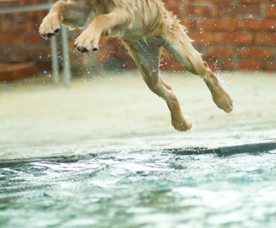 1380944111-3338208080