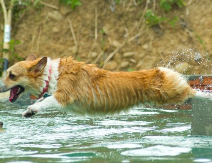 1380944111-3985296053