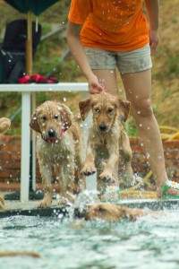 1380944112-203183514