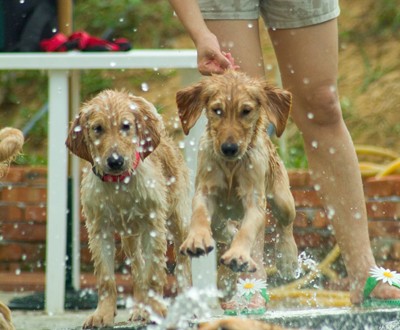 1380944112-203183514