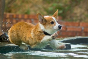 1380944113-1499477738