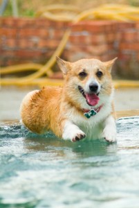 1380944113-2743229966