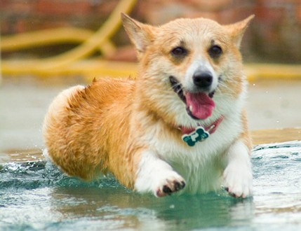 1380944113-2743229966