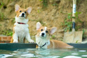 1380944114-1108075601