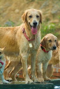 1380944114-2535387096