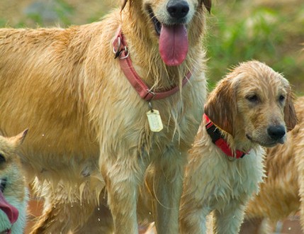 1380944114-2535387096