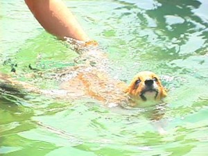 1380944115-1498277282