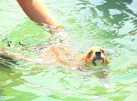 1380944115-1498277282