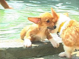 1380944115-2711818773