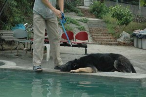 1380944116-936567685