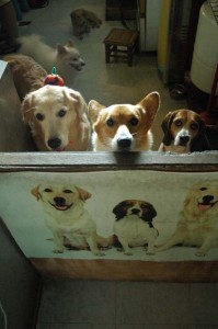 1380944119-927724274