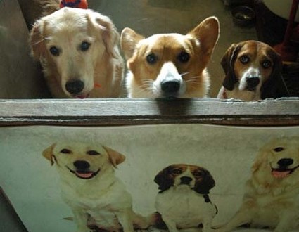 1380944119-927724274