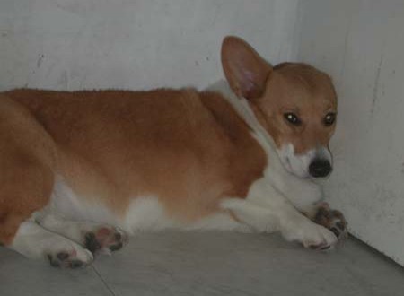 1380944120-3271718415