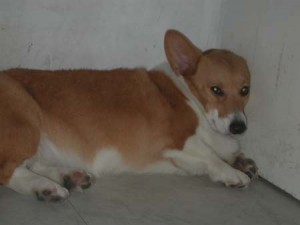 1380944120-3271718415