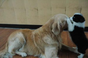 1380944123-2301794566