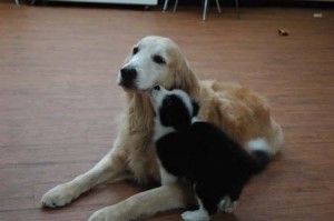 1380944123-2826880314