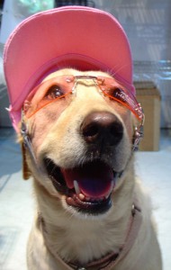 1380944124-1035837876