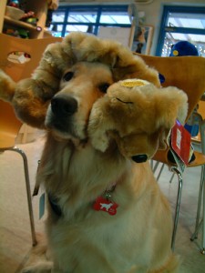 1380944124-1886189638