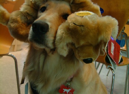 1380944124-1886189638