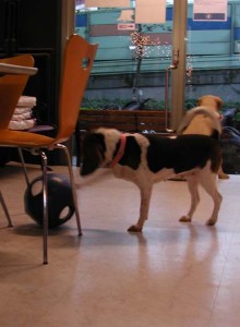 1380944125-3487231515