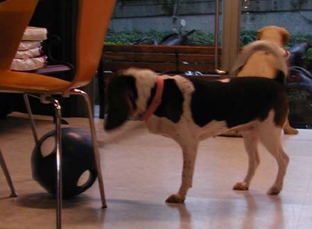 1380944125-3487231515