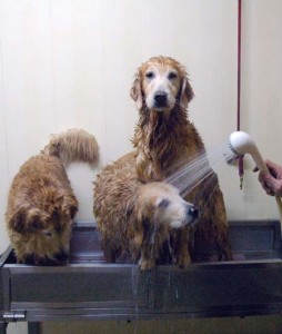 1380944126-1099551503