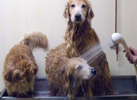 1380944126-1099551503