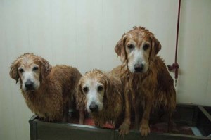 1380944126-618214962