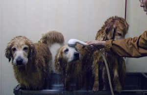 1380944126-844198283